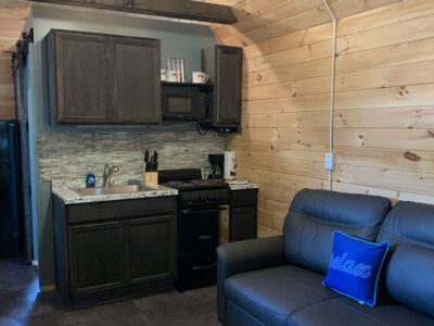 cindybear-living-768x1024