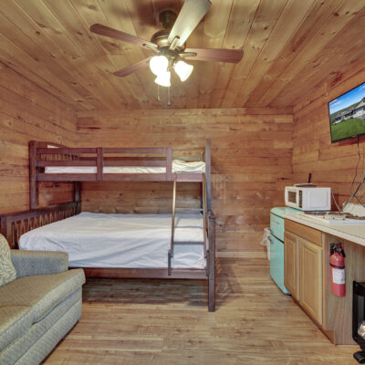 rustic cabin - interior